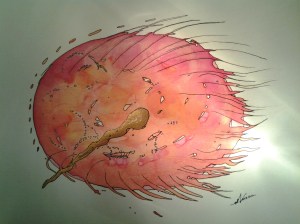 zwanger van inspiratie