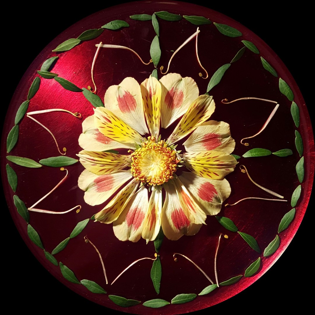 Als bloemen bijna verwelkt zijn.... nog snel