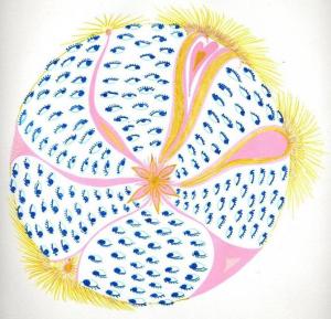 mandala-180906001-verkleind